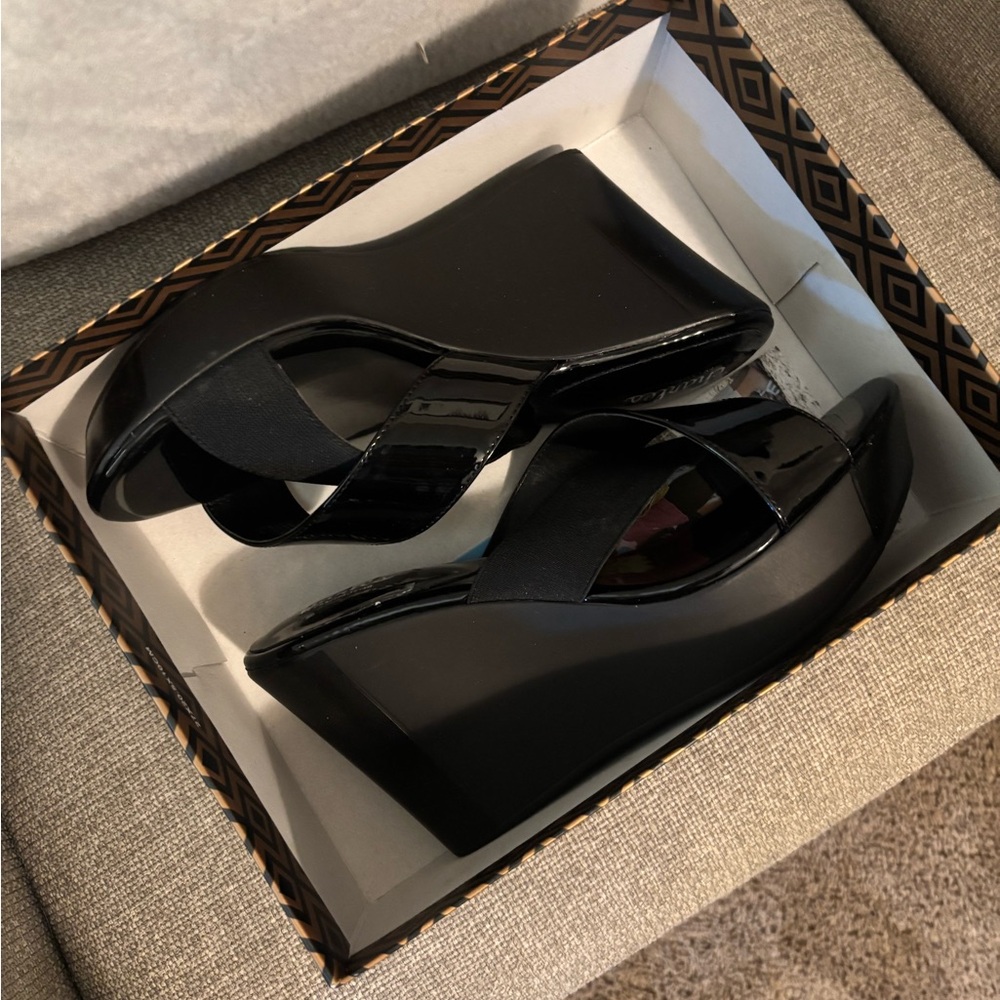 Charles David Wedge Sandals 9.5